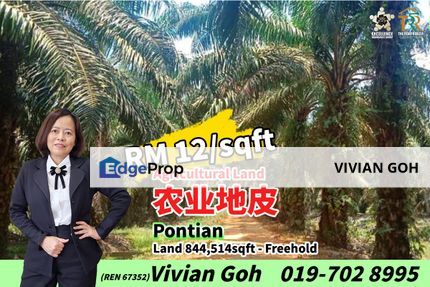 Pontian Agricultural Land For Sale, Johor, Pontian