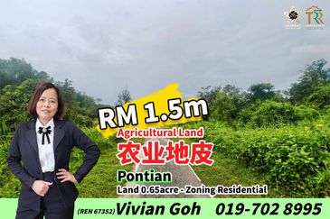 Taman Pontian Perdana