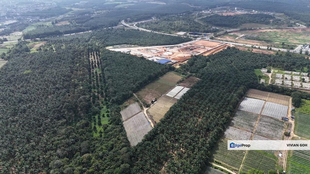Saleng Agricultural Land For Sale, Johor, Kulai