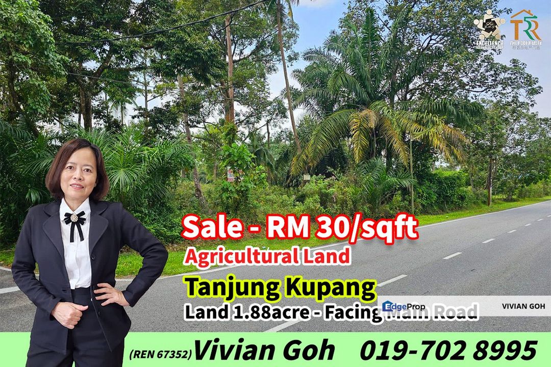 Tanjung Kupang Agricultural Land For Sale, Johor, Johor Bahru