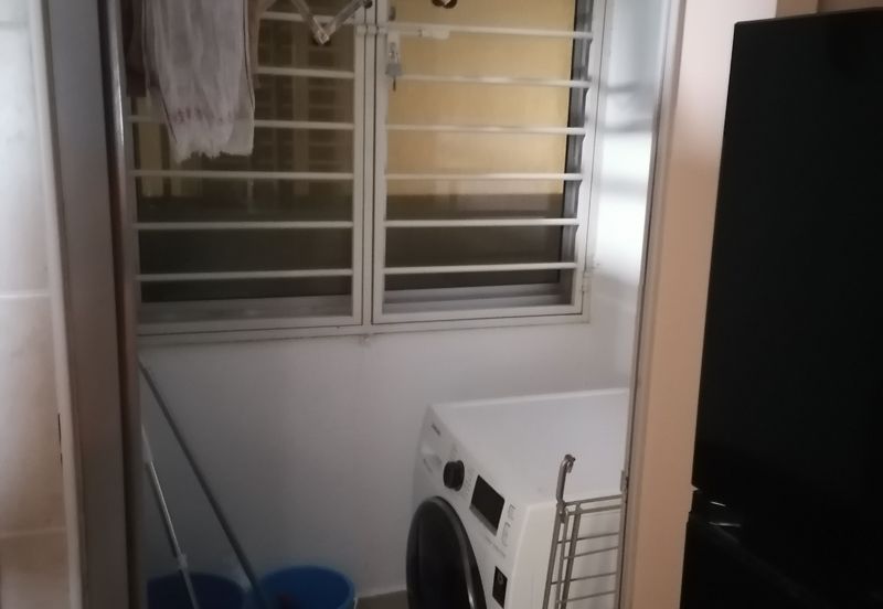 Tropicana City Tropics