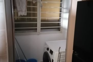 Tropicana City Tropics