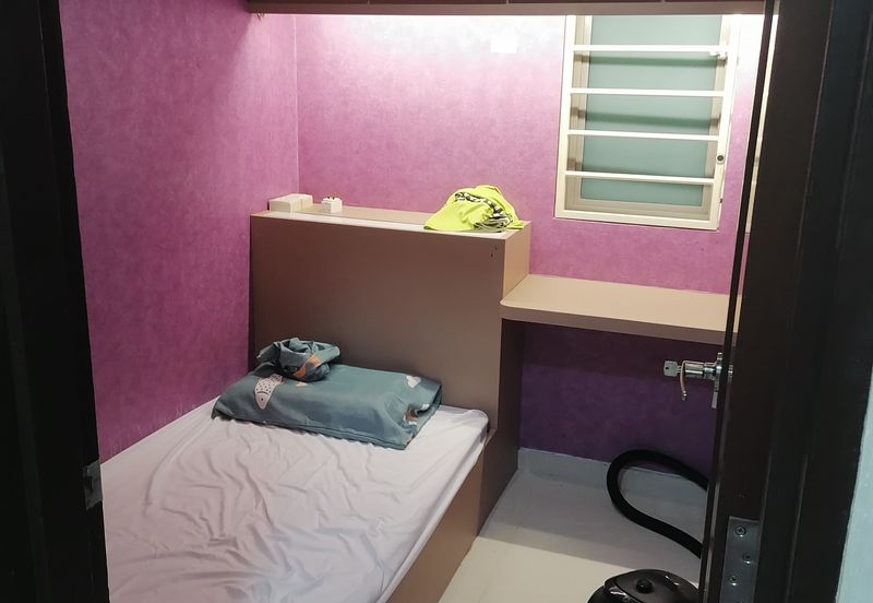 Tropicana City Tropics