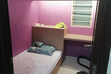 Tropicana City Tropics