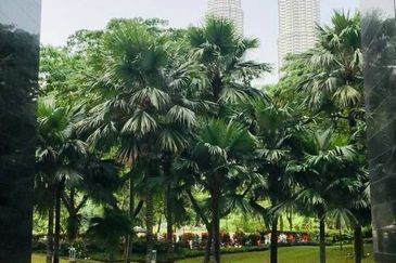 The Binjai on The Park