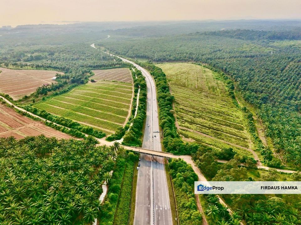 Land 781 Acres Port Dickson Agriculture Freehold Open, Negeri Sembilan, Port Dickson