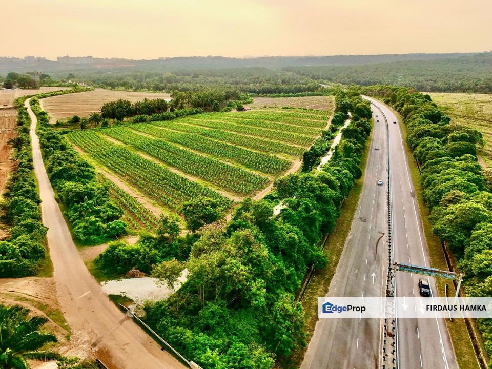 Land 781 Acres Port Dickson Agriculture Freehold Open, Negeri Sembilan, Port Dickson