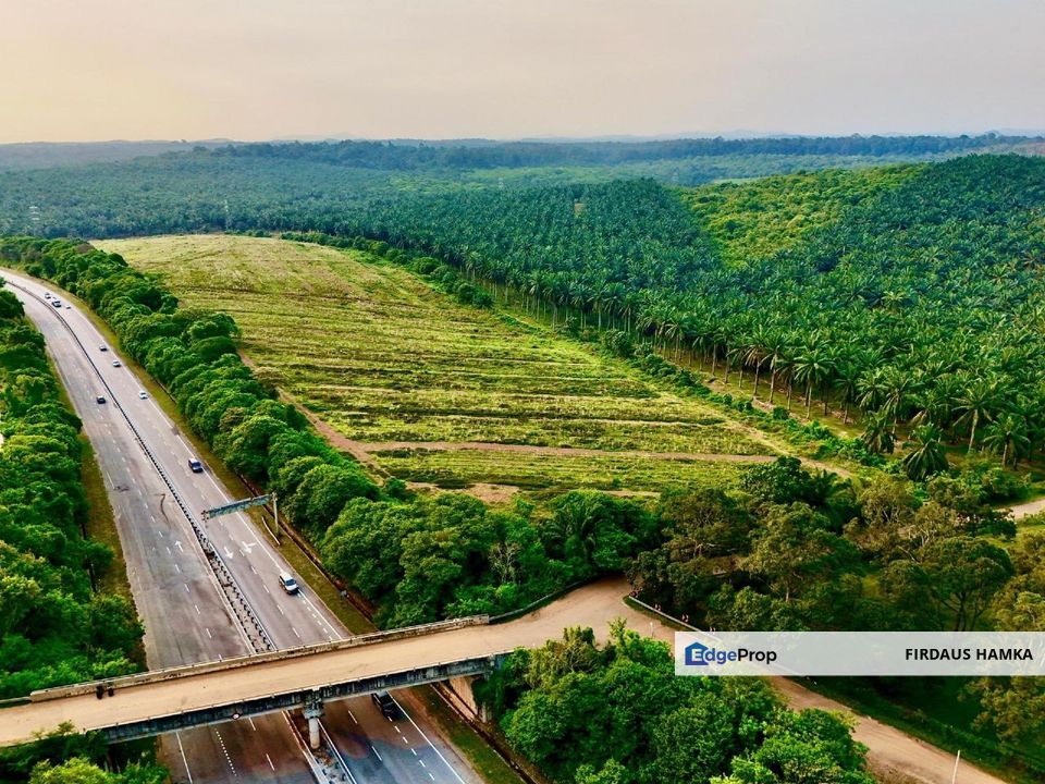 Land 781 Acres Port Dickson Agriculture Freehold Open, Negeri Sembilan, Port Dickson