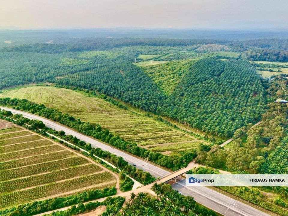 Land 781 Acres Port Dickson Agriculture Freehold Open, Negeri Sembilan, Port Dickson