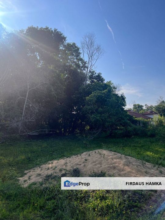 TANAH  2 EKAR  MUKIM PAHANG TUA  Tanah Putih (PEKAN PAHANG)
, Pahang, Pekan