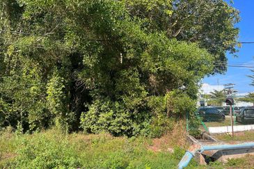 TANAH  2 EKAR  MUKIM PAHANG TUA  Tanah Putih (PEKAN PAHANG)
