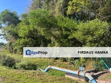 TANAH  2 EKAR  MUKIM PAHANG TUA  Tanah Putih (PEKAN PAHANG)
, Pahang, Pekan