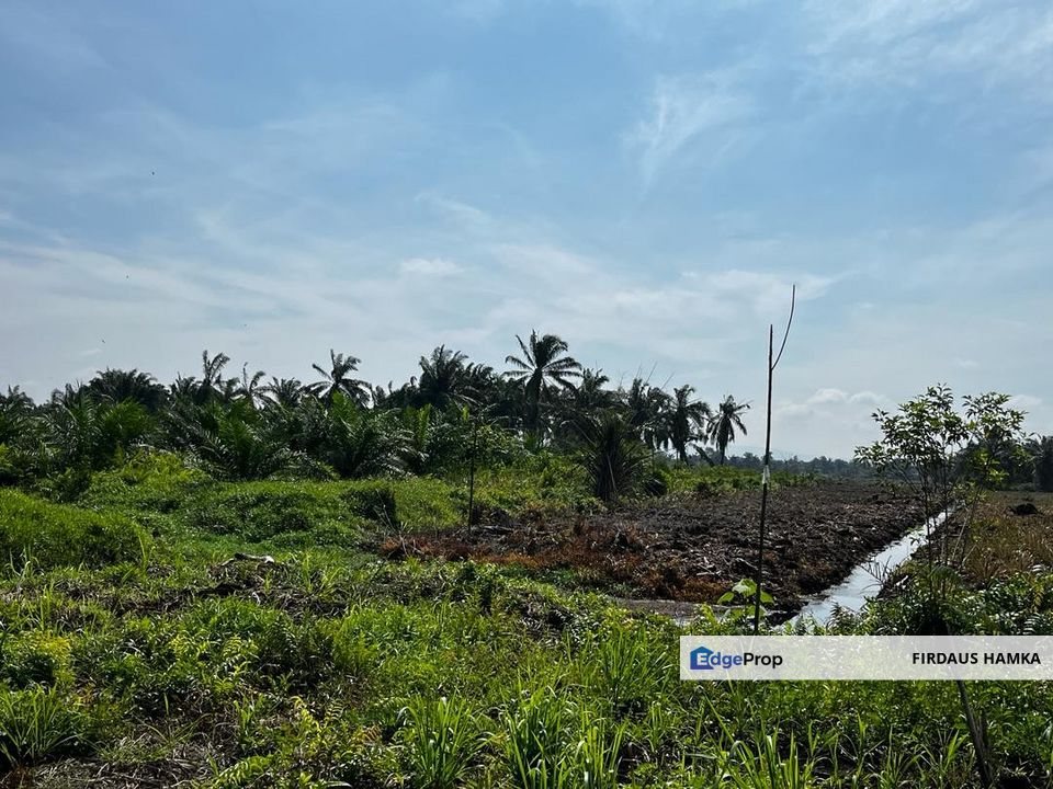 6 acres Agricultural Land in Mukim Bukit Batu, Kulai, Johor, Kulai