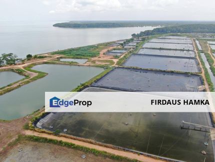 FOR SALE – READY CONVERTED AQUACULTURE LAND, BATU PAHAT (MINYAK BEKU), Johor, Kluang