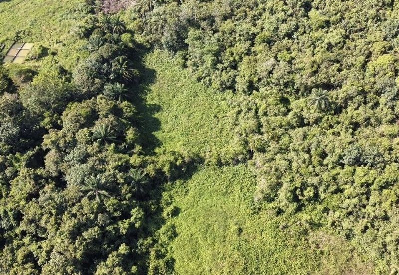 Kampung Jenderam Hulu