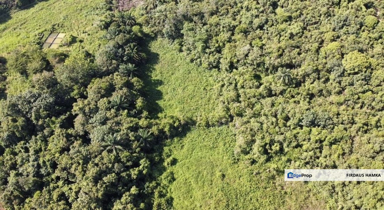 FOR SALE - FREEHOLD LAND FOR SALE @ JENDERAM, Selangor, Sepang