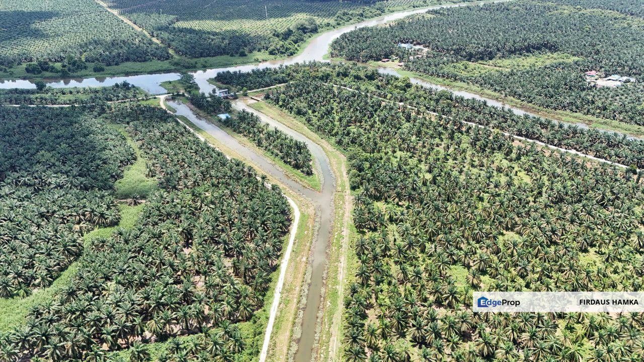 PRIME 2,572.58-ACRE PLANTATION LAND FOR SALE – BATU PAHAT 
, Johor, Batu Pahat