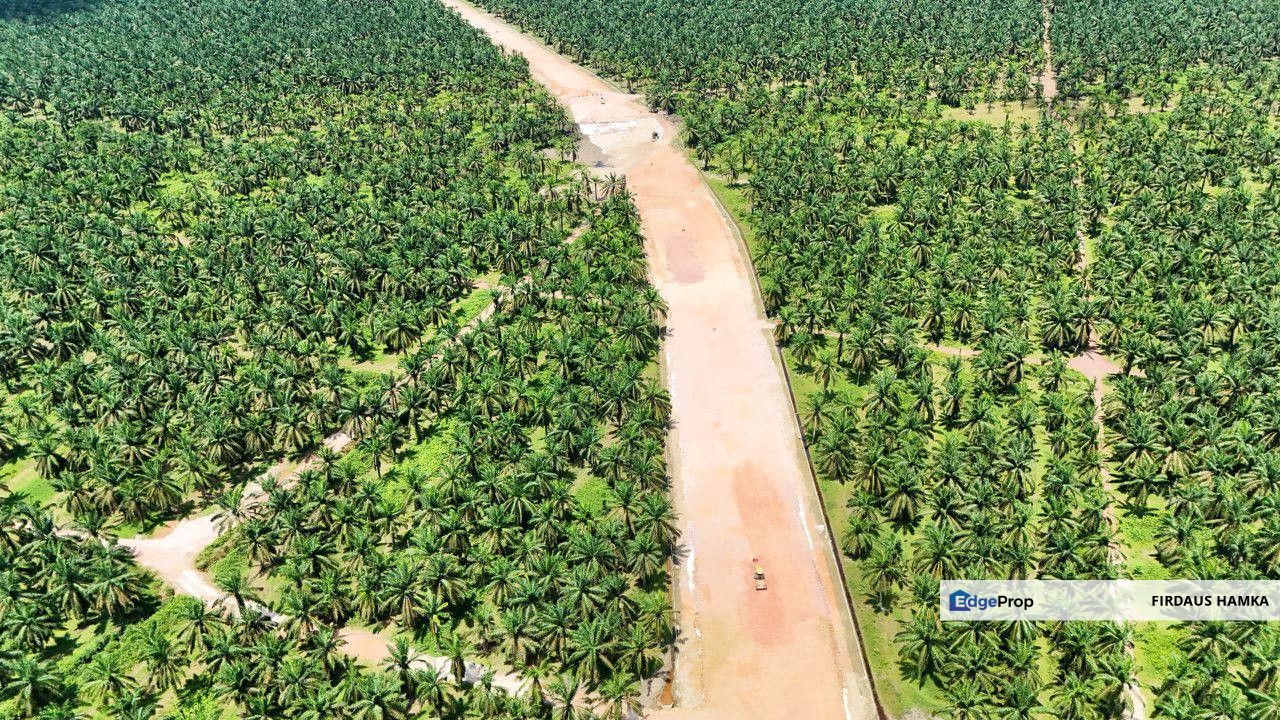 PRIME 2,572.58-ACRE PLANTATION LAND FOR SALE – BATU PAHAT 
, Johor, Batu Pahat