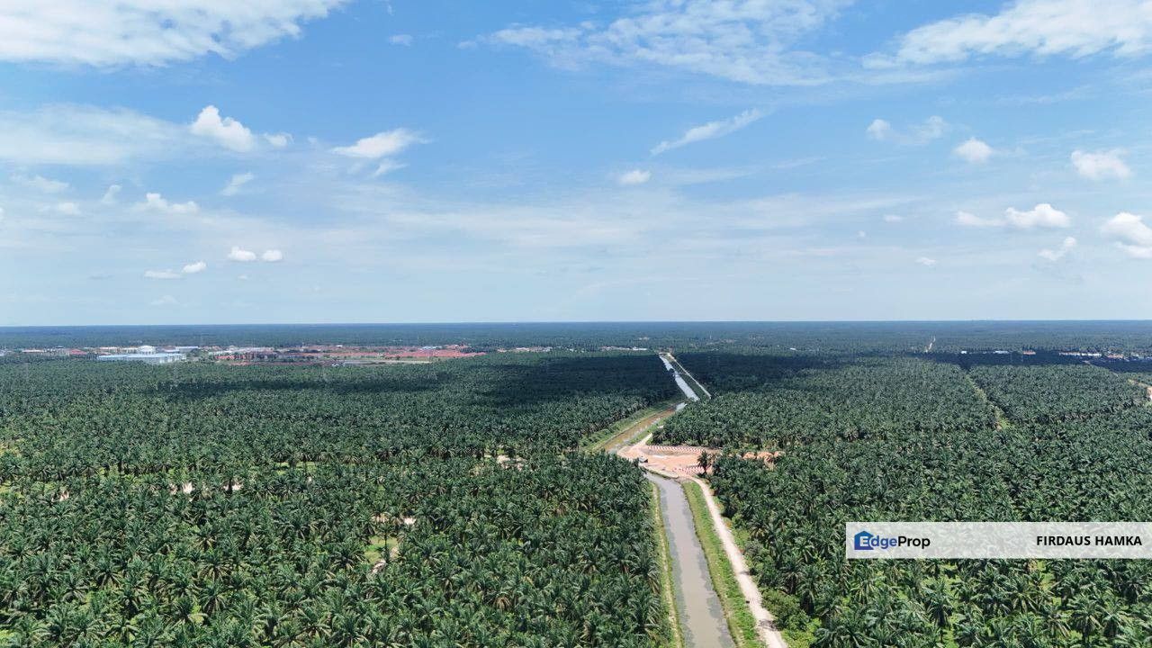 PRIME 2,572.58-ACRE PLANTATION LAND FOR SALE – BATU PAHAT 
, Johor, Batu Pahat