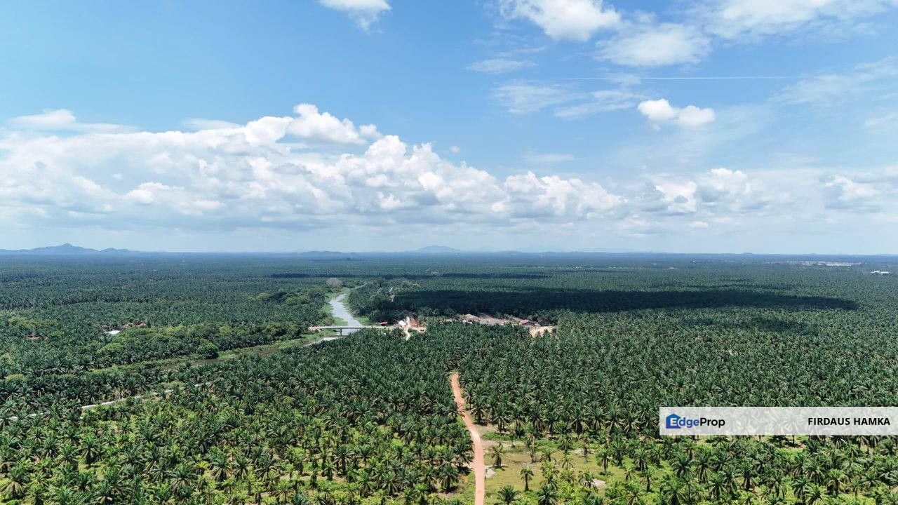 PRIME 2,572.58-ACRE PLANTATION LAND FOR SALE – BATU PAHAT 
, Johor, Batu Pahat