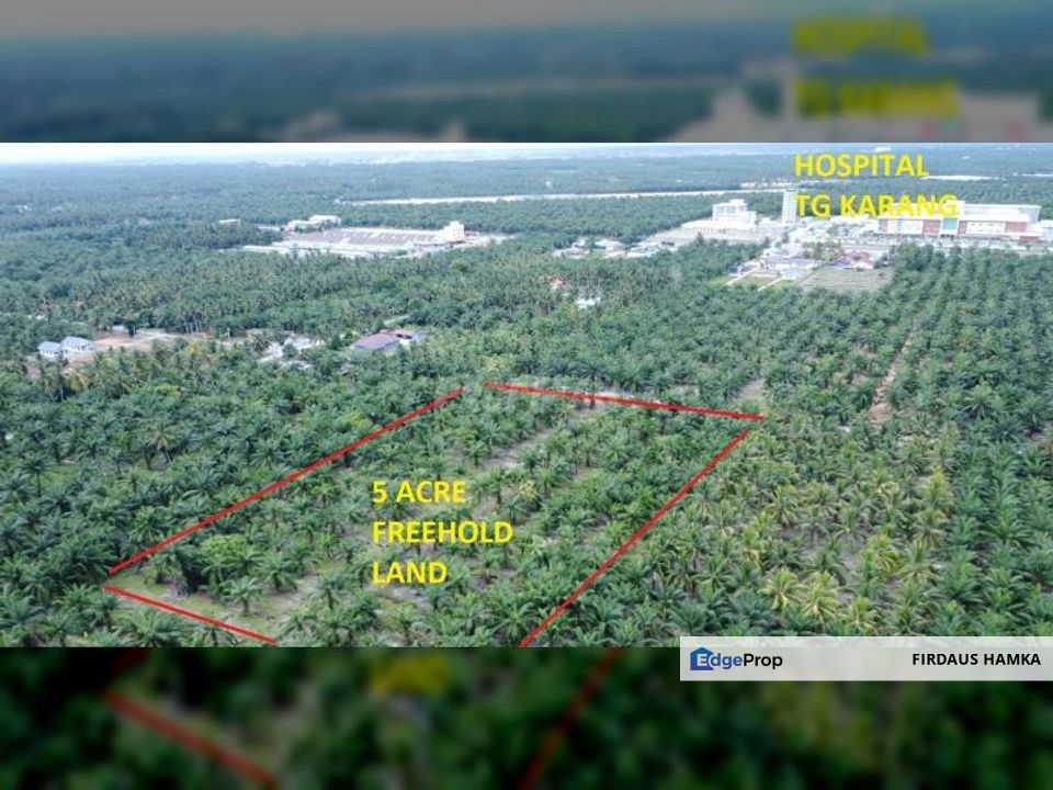 5 Acres Freehold Non-Bumi Land in Sg Terap, Tanjung Karang, Selangor, Kuala Selangor