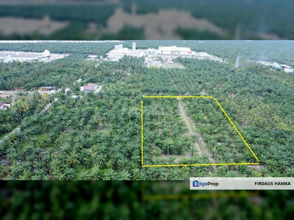 5 Acres Freehold Non-Bumi Land in Sg Terap, Tanjung Karang, Selangor, Kuala Selangor