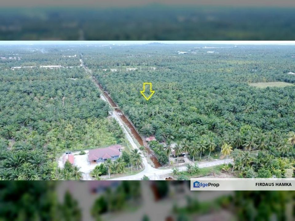 5 Acres Freehold Non-Bumi Land in Sg Terap, Tanjung Karang, Selangor, Kuala Selangor