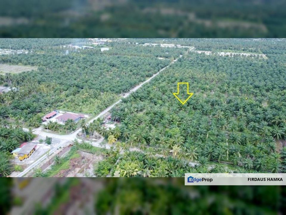 5 Acres Freehold Non-Bumi Land in Sg Terap, Tanjung Karang, Selangor, Kuala Selangor