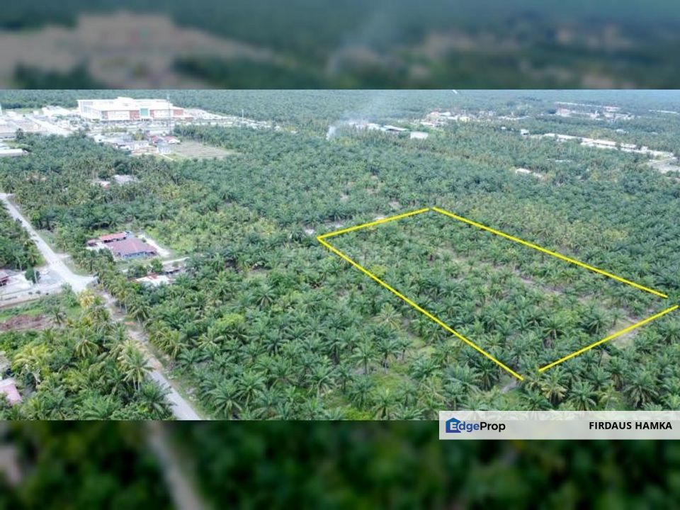 5 Acres Freehold Non-Bumi Land in Sg Terap, Tanjung Karang, Selangor, Kuala Selangor