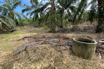 Kuala Pilah Negeri Sembilan Agriculture Land Oil Palm Farm Freehold with Reserve Road 