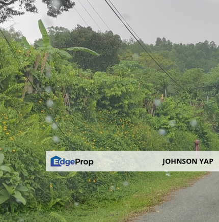Kampung Baru Subang, Shah Alam Land for Sale Agricultural Land 4.23 Acres Good Location, Selangor, Shah Alam