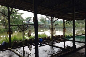 Taman Desa Cemerlang