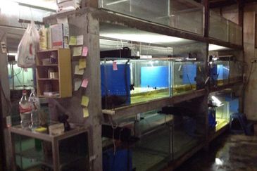 Taman Desa Cemerlang