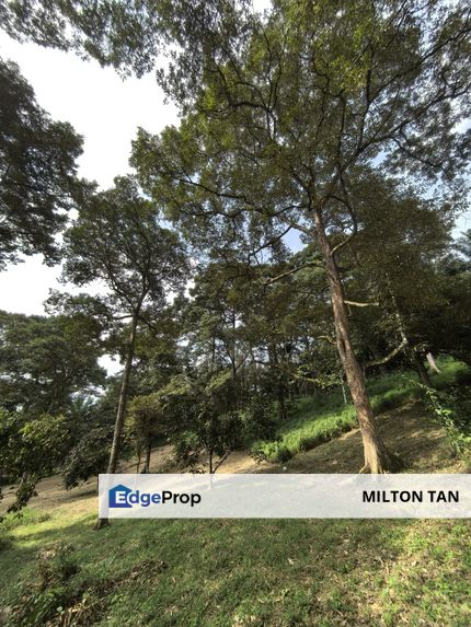Kota TInggi Agricultural Land For Sale Durian , Johor, Ulu Tiram
