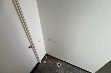 The Rainforest @ Eco Tropics