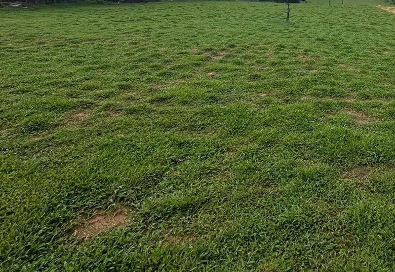 Taman Perindustrian Cemerlang