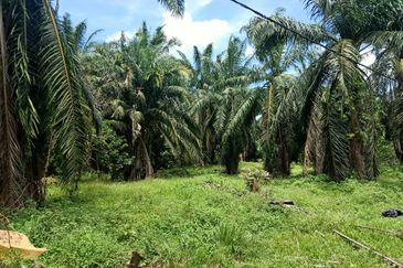 Kluang , Taman Puteri 