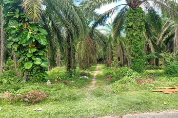 Kluang , Taman Puteri 