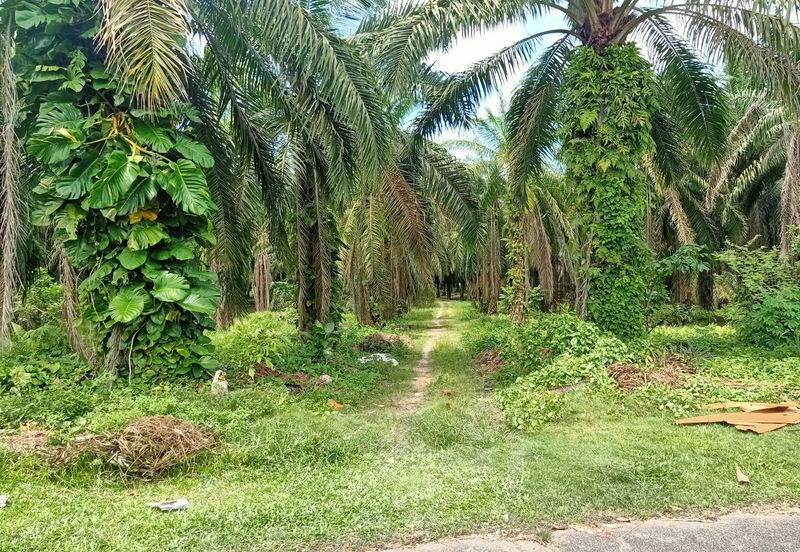 Kluang . Taman Puteri