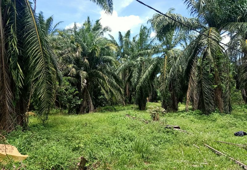 Kluang . Taman Puteri