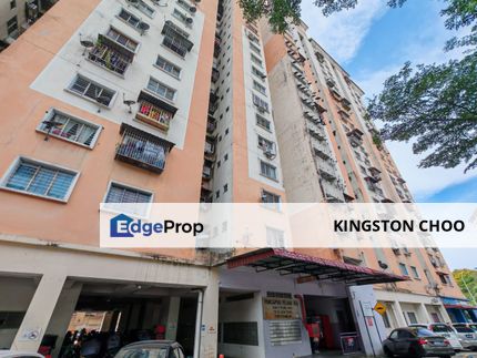 Pelangi Ara, Kayu Ara, Selangor, Bandar Utama, Petaling Jaya, Damansara Jaya, Sri Ara, Selangor, Kayu Ara