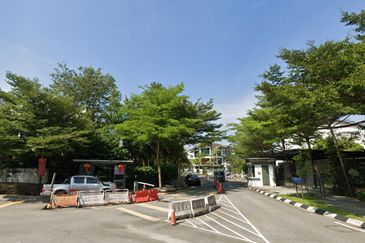 Lake Fields - Meadows and Glades