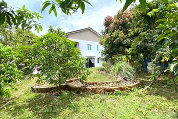 Penduline @ Bandar Rimbayu