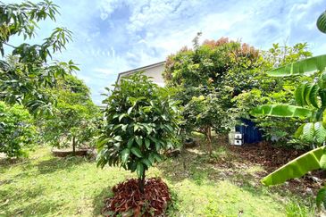 Penduline @ Bandar Rimbayu