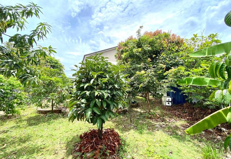 Penduline @ Bandar Rimbayu