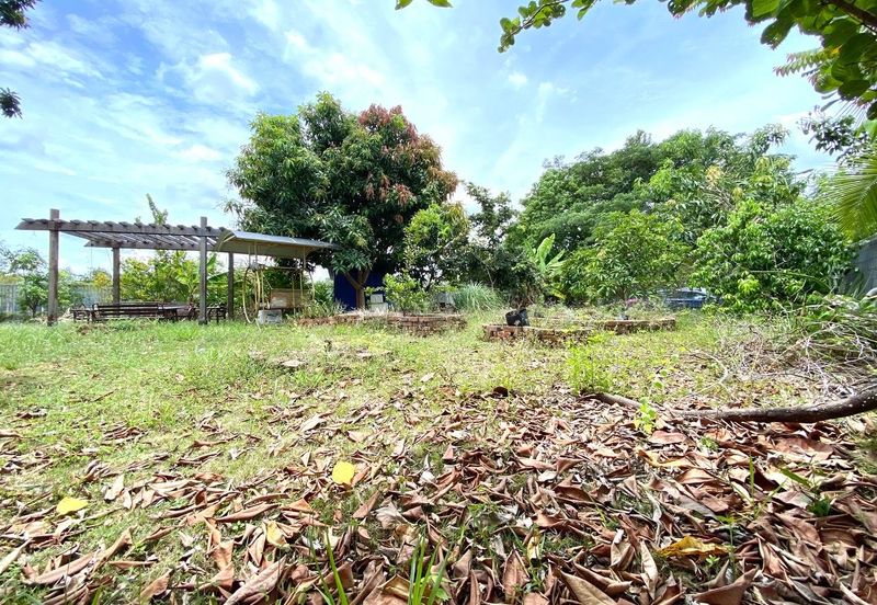 Penduline @ Bandar Rimbayu