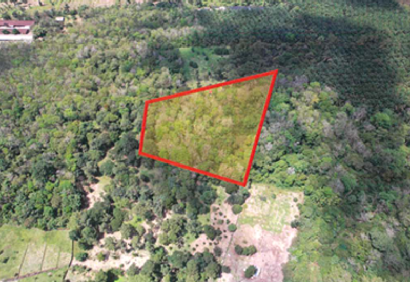 Batang Kali Ulu Selangor Agricultural Land for Sale Freehold 