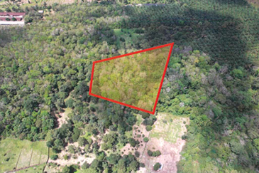 Batang Kali Ulu Selangor Agricultural Land for Sale Freehold 