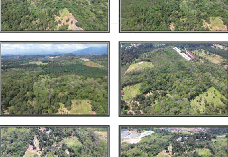 Batang Kali Ulu Selangor Agricultural Land for Sale Freehold 