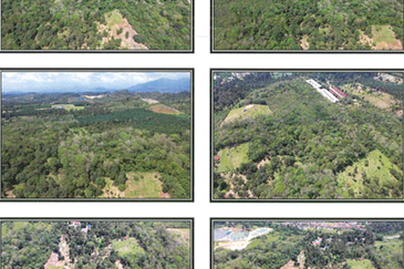 Batang Kali Ulu Selangor Agricultural Land for Sale Freehold 